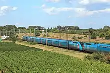 Passage d'un train, près de Saint-Aunès (34).