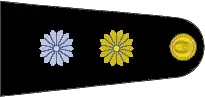 Insignia de Teniente del Ejército Argentino.