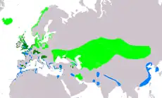 Distribución del tarro blanco