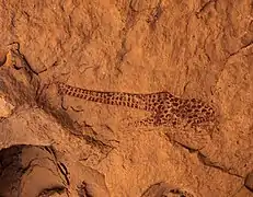 Jirafas en cluquillas rellenada con ocelos rojos