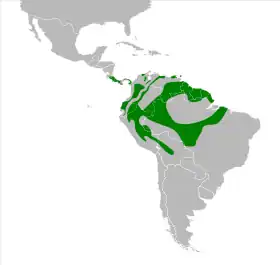 Distribución geográfica de la tangara cabecibaya.