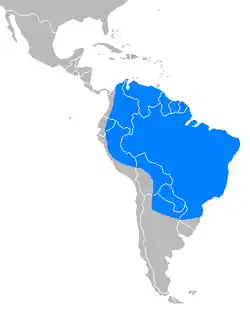 Distribución del tapir amazónico