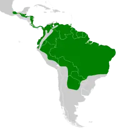 Distribución geográfica del batará mayor.