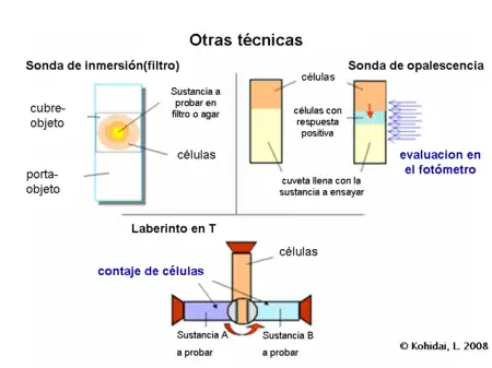 Ensayos de quimiotaxis - Otras técnicas