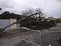 Cables eléctricos rotos en el Suroeste de Francia