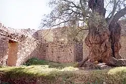 Complejo Arqueológico de Huarihuilca