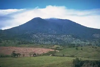 Parque nacional Volcán Tenorio.Ubicado a los pies del volcán Tenorio, presenta 35 especies de peces, 78 especies de anfibios, 135 especies de reptiles y 131 especies de mamíferos, incluyendo especies en peligro de extinción, como el tepezcuintle, la danta y el puma. El árbol jícaro danto (Parmentiera valerii) es endémico de la cordillera de Guanacaste.