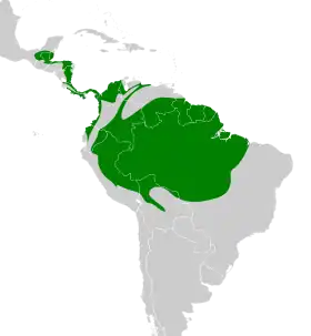 Distribución geográfica del mosquerito colirrojo.