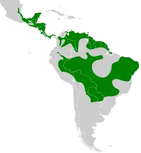 Distribución geográfica del batará barrado.