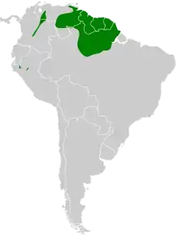 Distribución geográfica del batará pizarroso punteado.