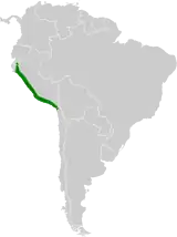 Distribución de Thaumastura cora