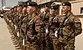 Miembros de las Fuerzas de Tarea Expedicionaria de Mongolia formados para el Día del Ejército de Mongolia en Camp Eggers, Afganistán. El Día del Ejército de Mongolia es un evento anual que se lleva a cabo desde 1921.