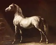 Caballo árabe (c. 1824).