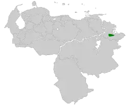 Distribución geográfica del colasuave del Amacuro.