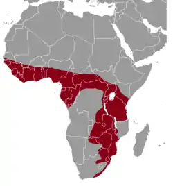 Distribución de T. swinderianus