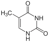 Timina o 5-Metil-uracilo