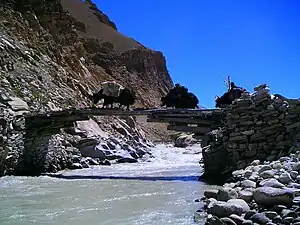 Puente tibetano.