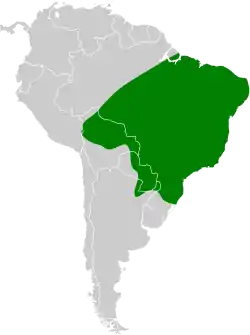 Distribución geográfica del titira colinegro oriental.