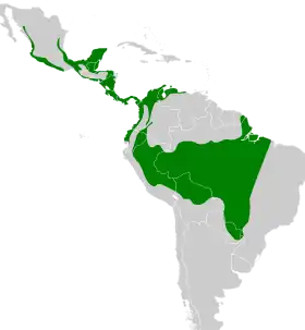 Distribución geográfica del titira enmascarado.