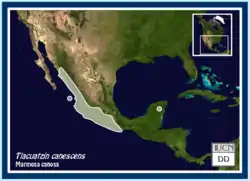 Mapa de distribución de Tlacuatzin canescens