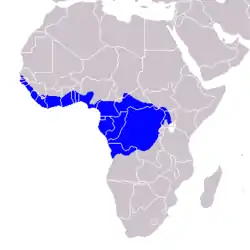 Distribución geográfica del toco blanquinegro