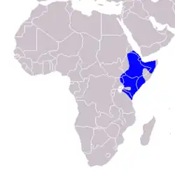 Distribución del toco piquigualdo norteño