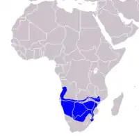 Distribución del toco piquigualdo sureño