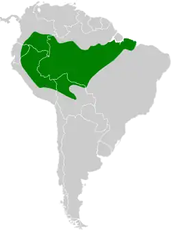 Distribución geográfica del titirijí cejiamarillo.