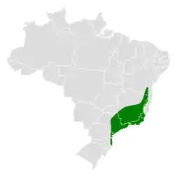 Distribución geográfica del titirijí cabecigrís.