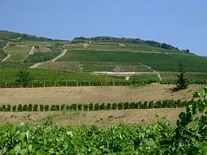 Paisaje cultural histórico de la región vitivinícola de Tokaj