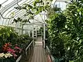 Dentro de Tollcross Winter Gardens en 2008.