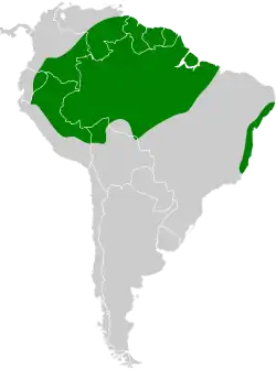 Distribución geográfica del picoplano cabecigrís.