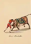 Torero Banderillero