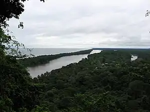 Bosque húmedo tropicalTortuguero