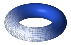 A torus.