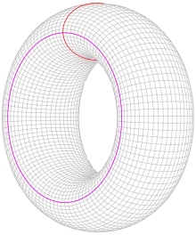 A donut shape with two circles drawn on its surface, one going around the hole and the other going through it.