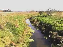 Arroyo de la Cañada Pantanosa, tributario del Río Matanza.