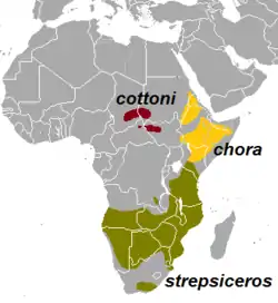 Distribución de las subespecies de T. strepsiceros: T. s. strepsiceros, T. s. chora y T. s. cottoni.