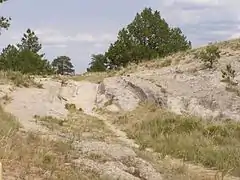 Trail Ruts, Wyoming