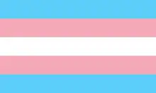 Flag with five horizontal bars: white in center, surrounded by pink, surrounded by light blue