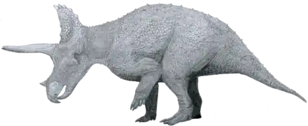 Triceratops