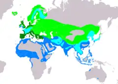 Distribución de Tringa totanus