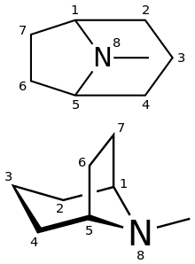 Estructura química del tropano