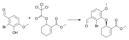 Trost AAA galantamine Síntesis intermedia