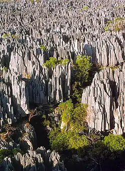 Parque nacional Tsingy de Bemaraha.