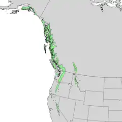 Área de distribución natural de Tsuga mertensiana