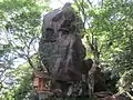 Oharagi Jinja (Árbol-Santuario Ohara).