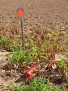 Terreno con tubos de plástico y la señalización de tratamiento fitosanitario.