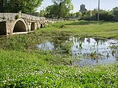 Puente y rivera de Tudera