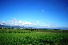 Valle de Tulancingo al sureste del estado.